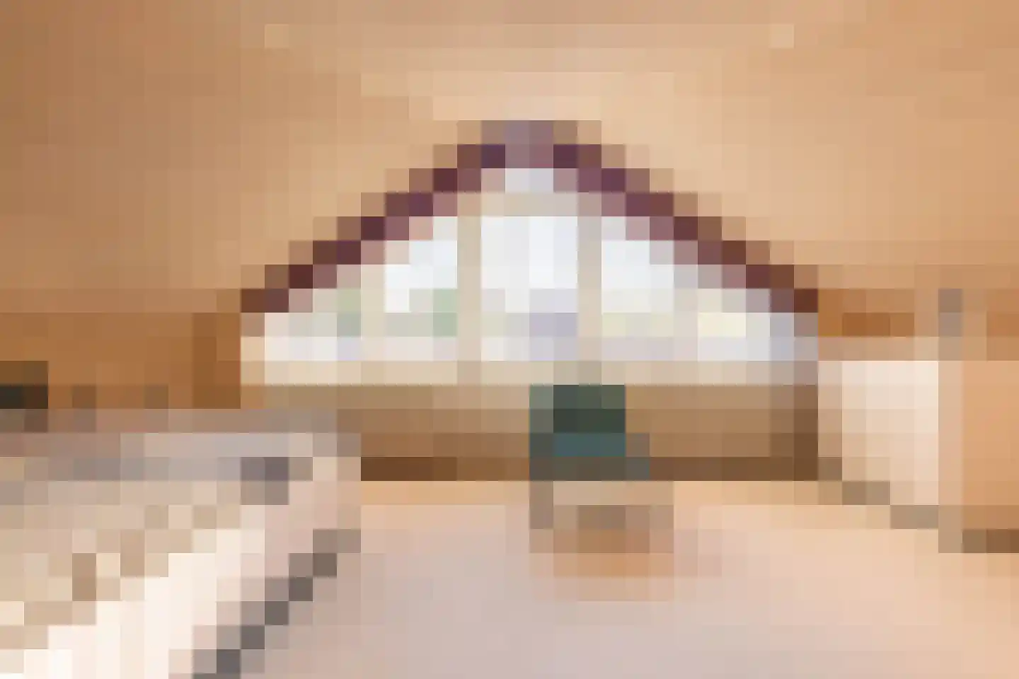 de Steege 67 Zieuwent thumbnail 19