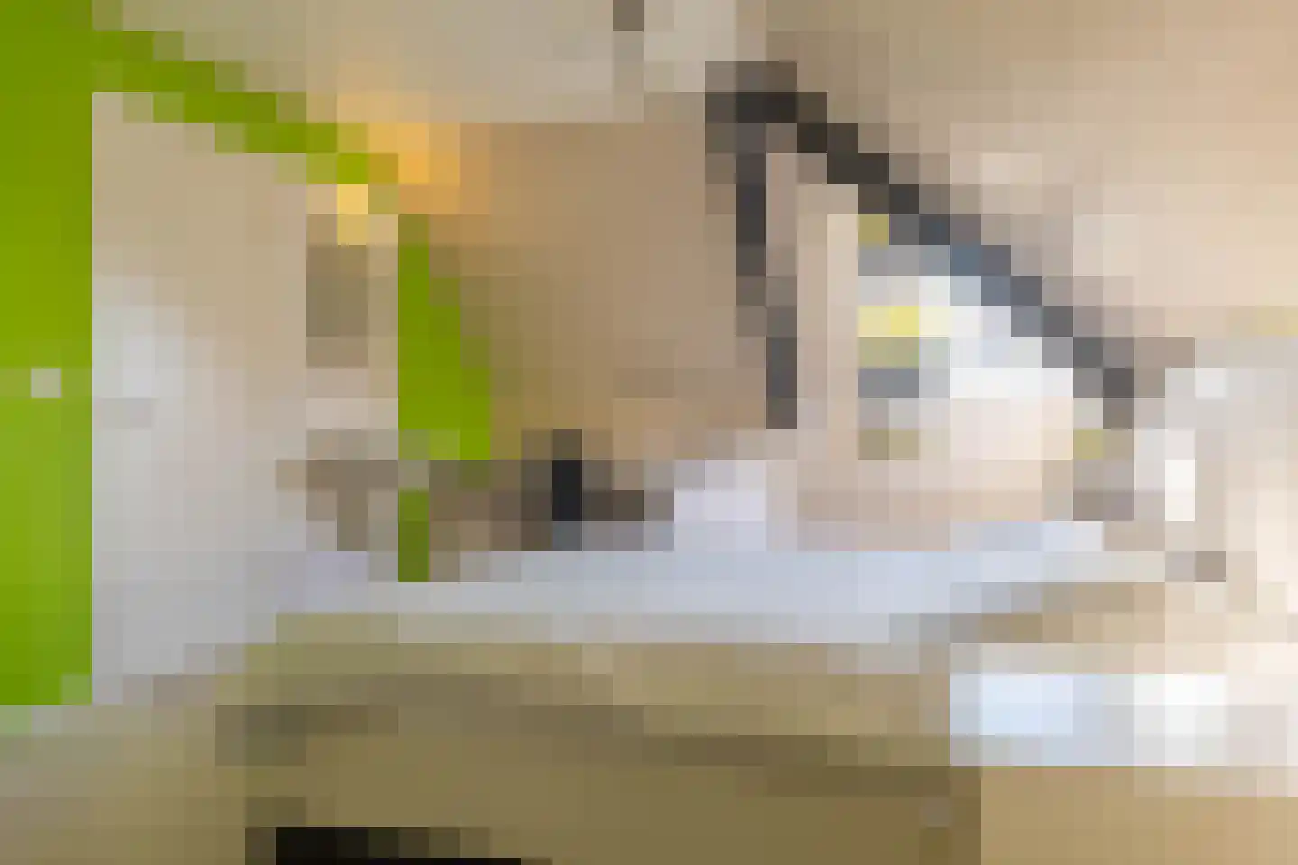 de Steege 67 Zieuwent thumbnail 23