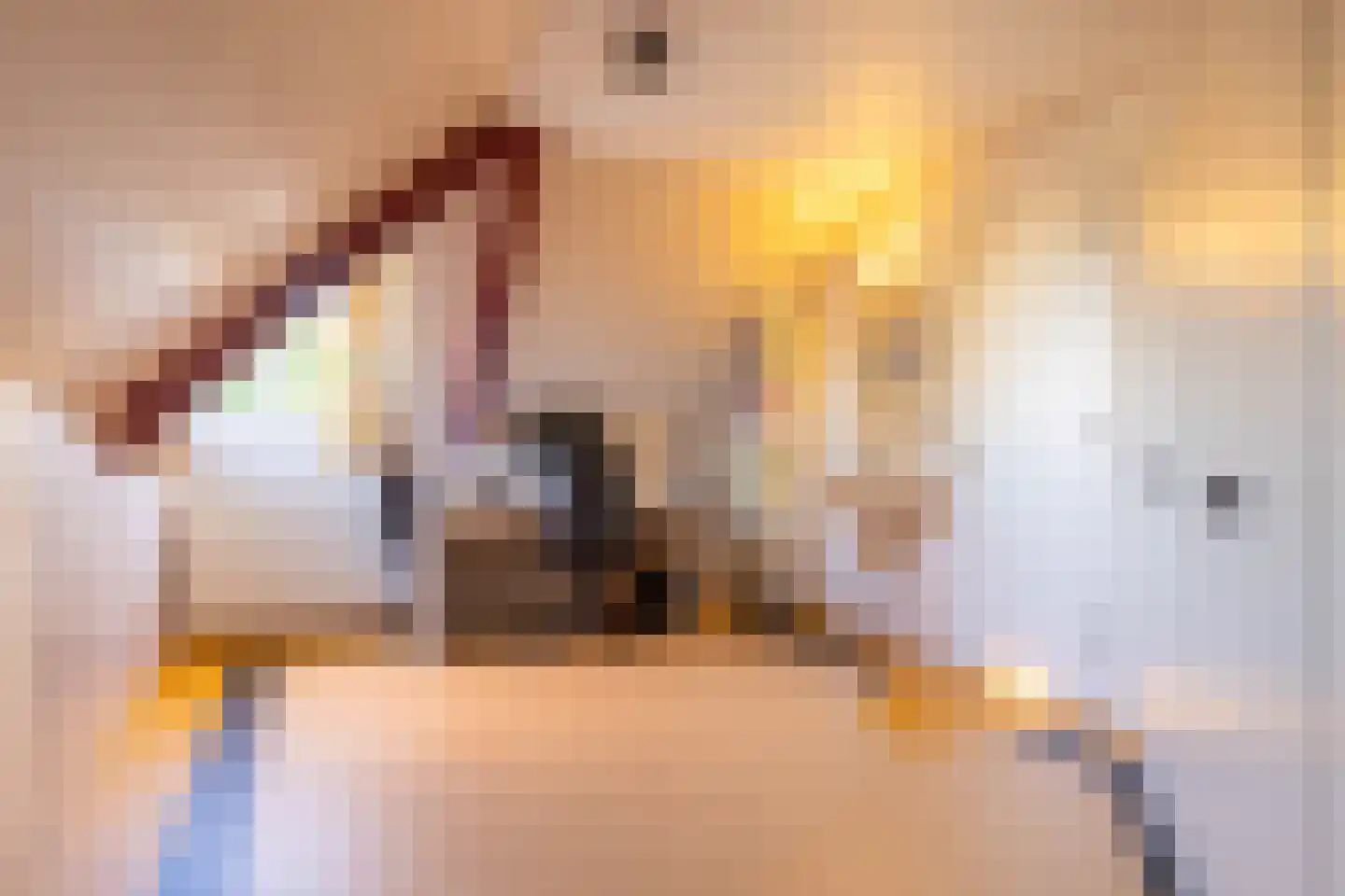 de Steege 67 Zieuwent thumbnail 24