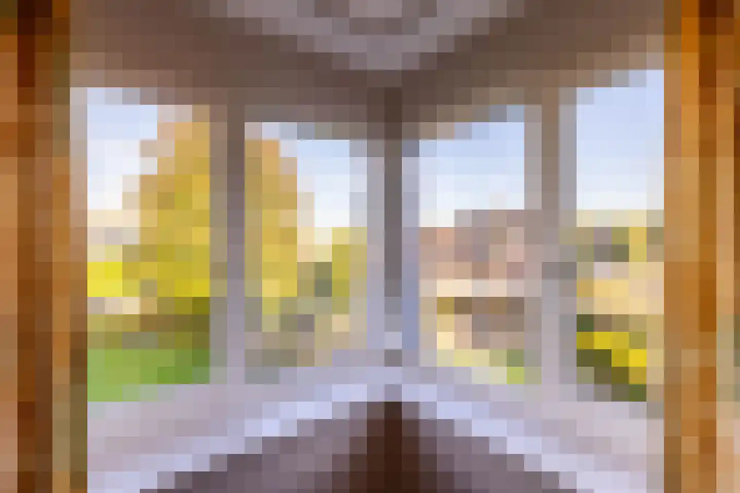 de Steege 67 Zieuwent thumbnail 25