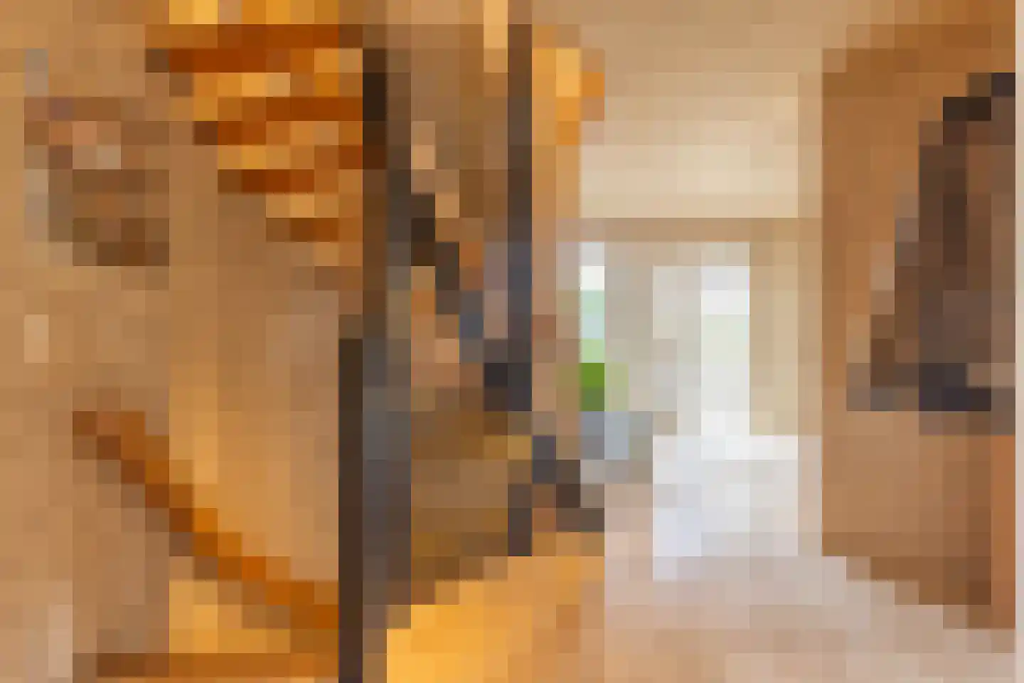 de Steege 67 Zieuwent thumbnail 29