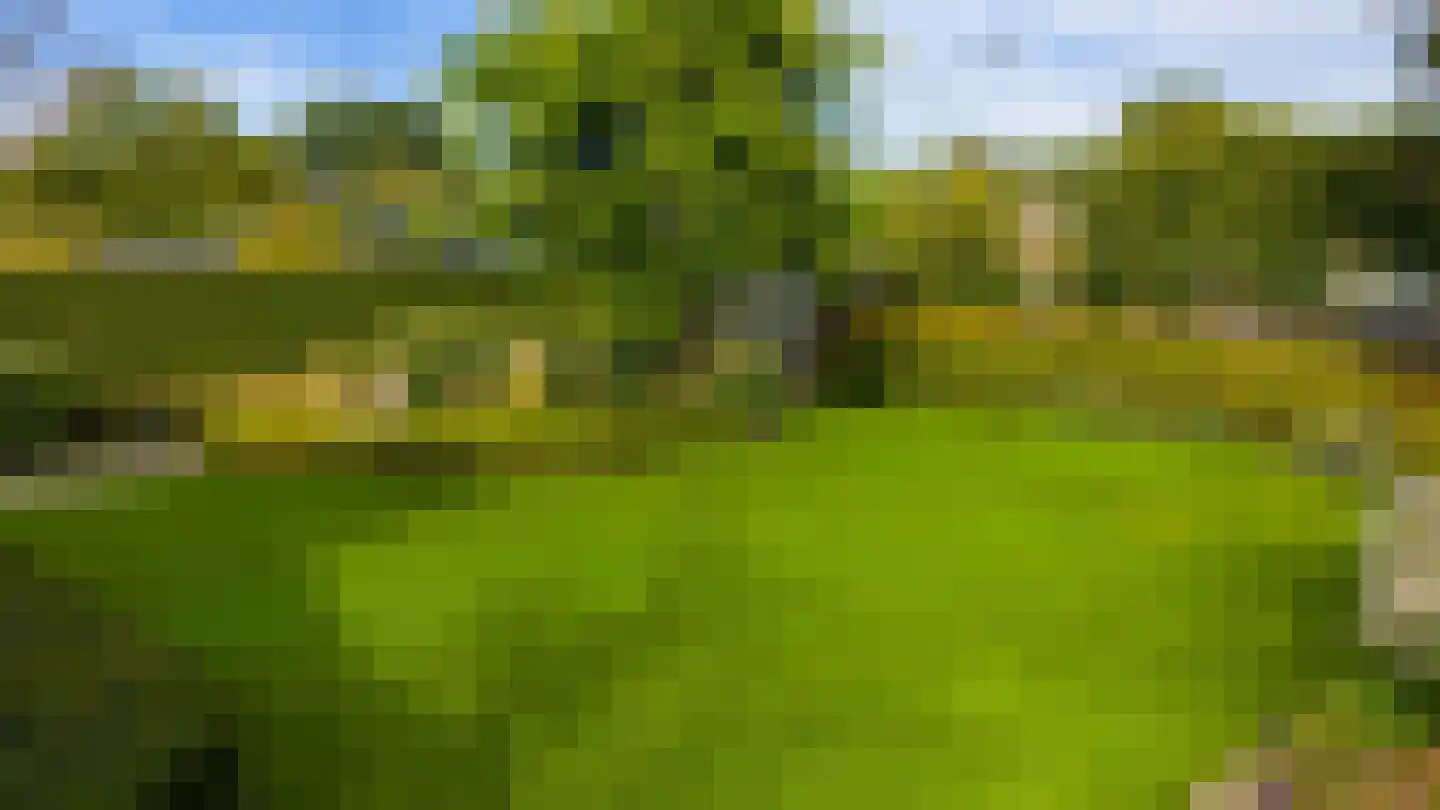 de Steege 67 Zieuwent thumbnail 37