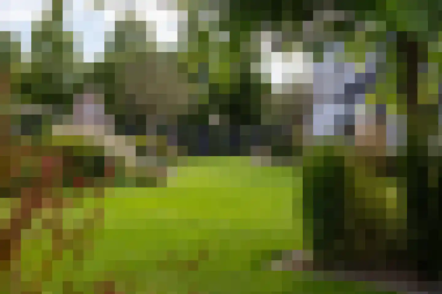 de Steege 67 Zieuwent thumbnail 38