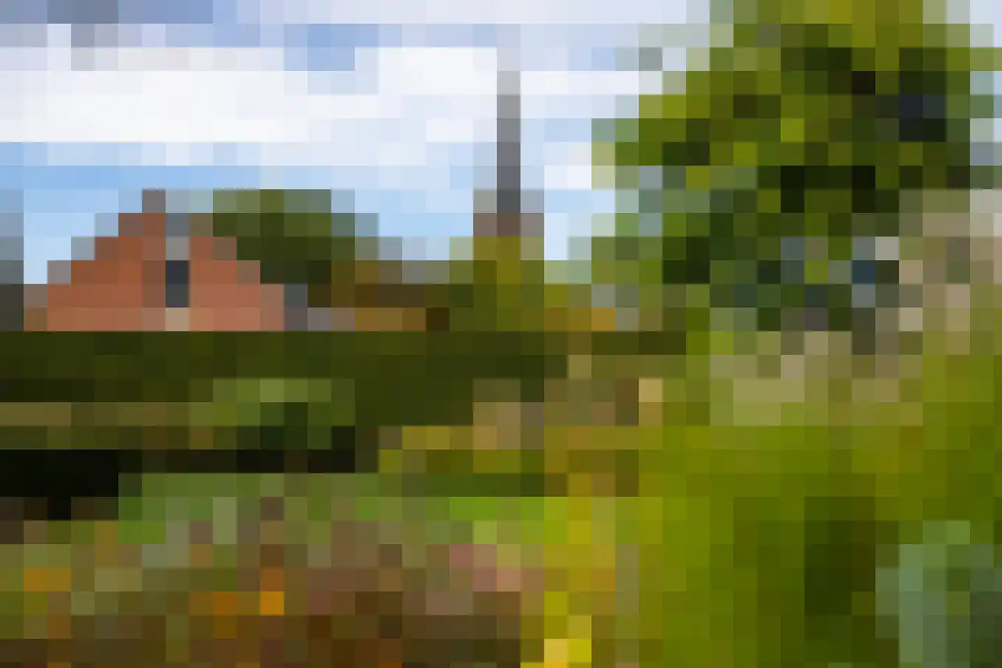de Steege 67 Zieuwent thumbnail 39