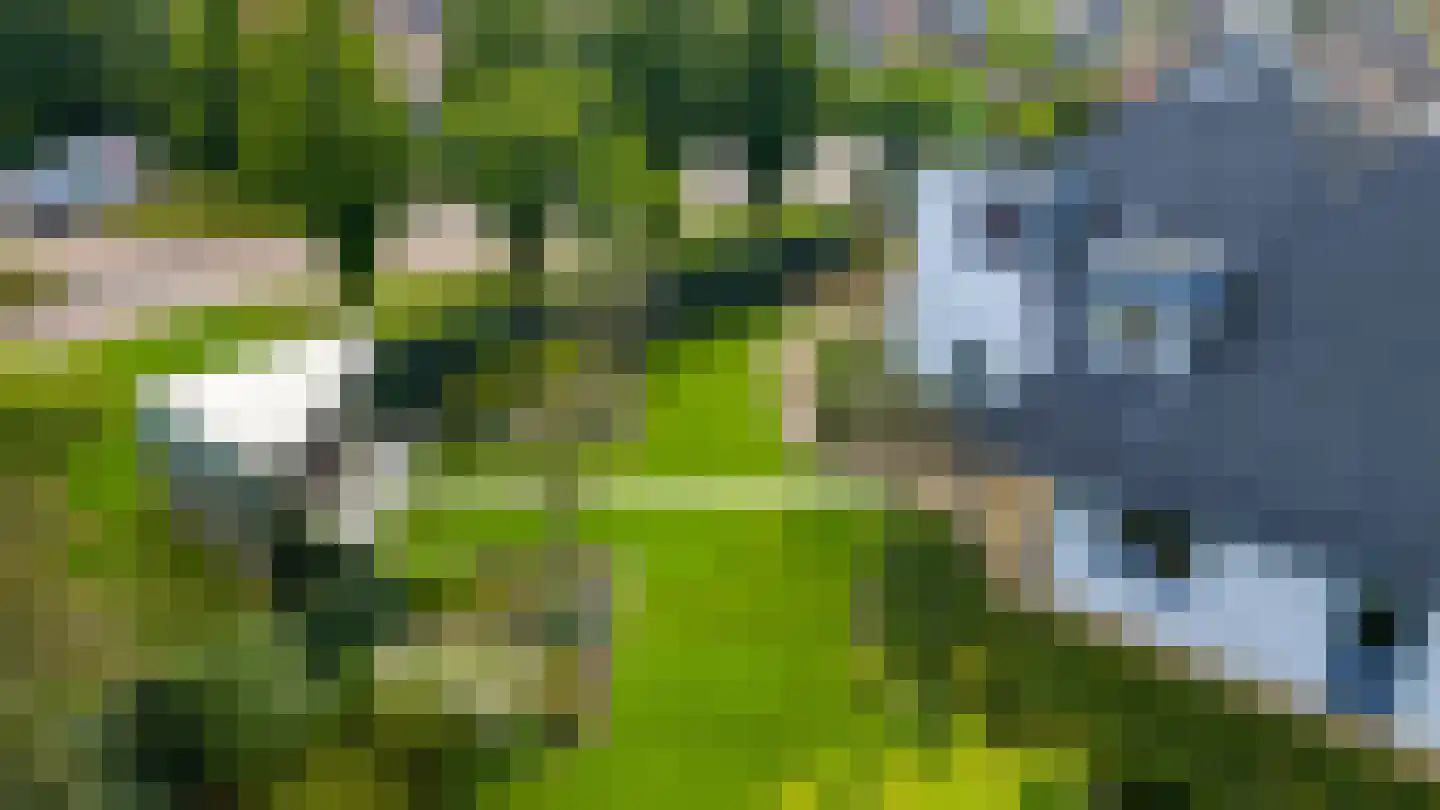 de Steege 67 Zieuwent thumbnail 42