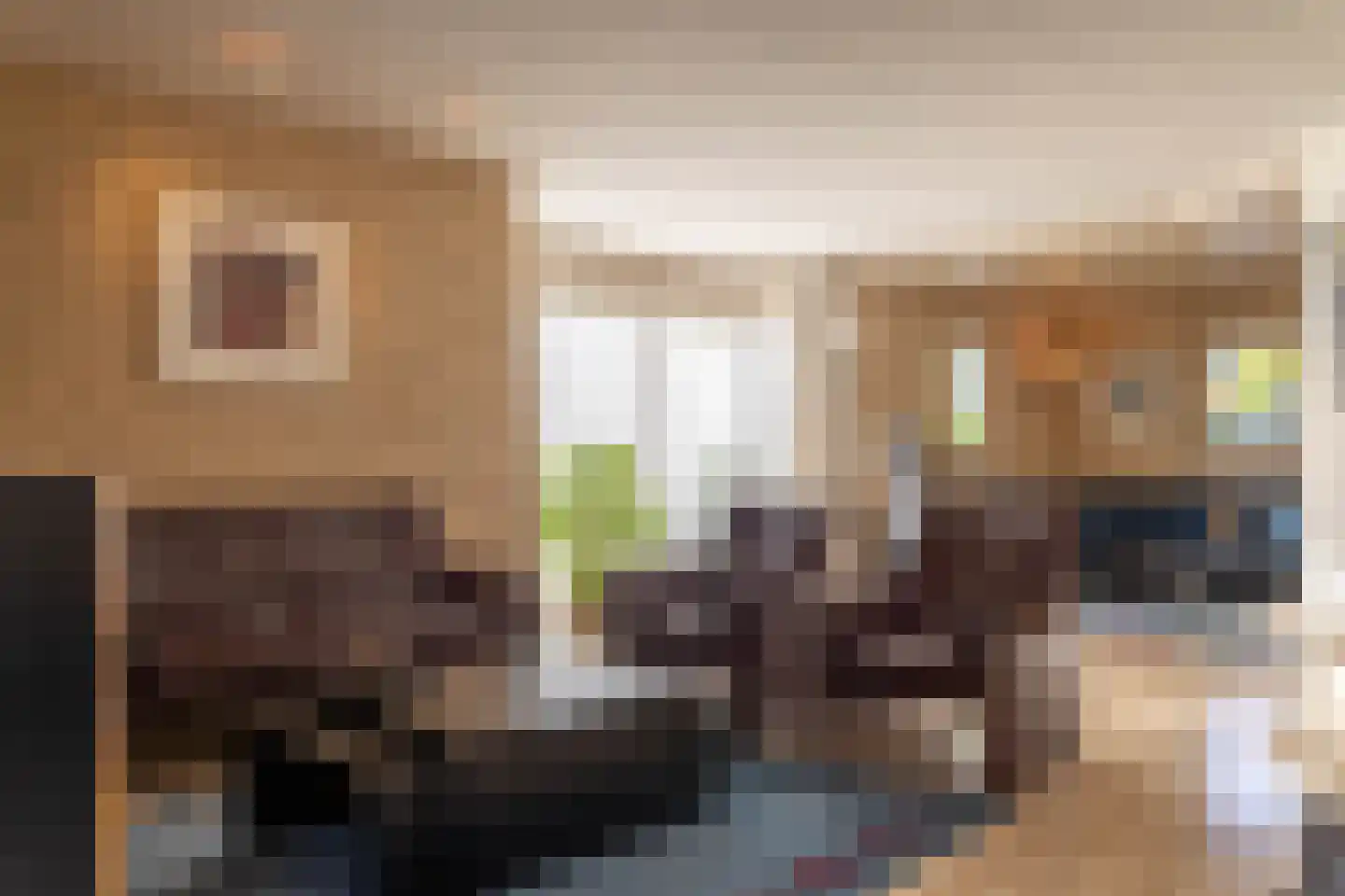 de Steege 67 Zieuwent thumbnail 5