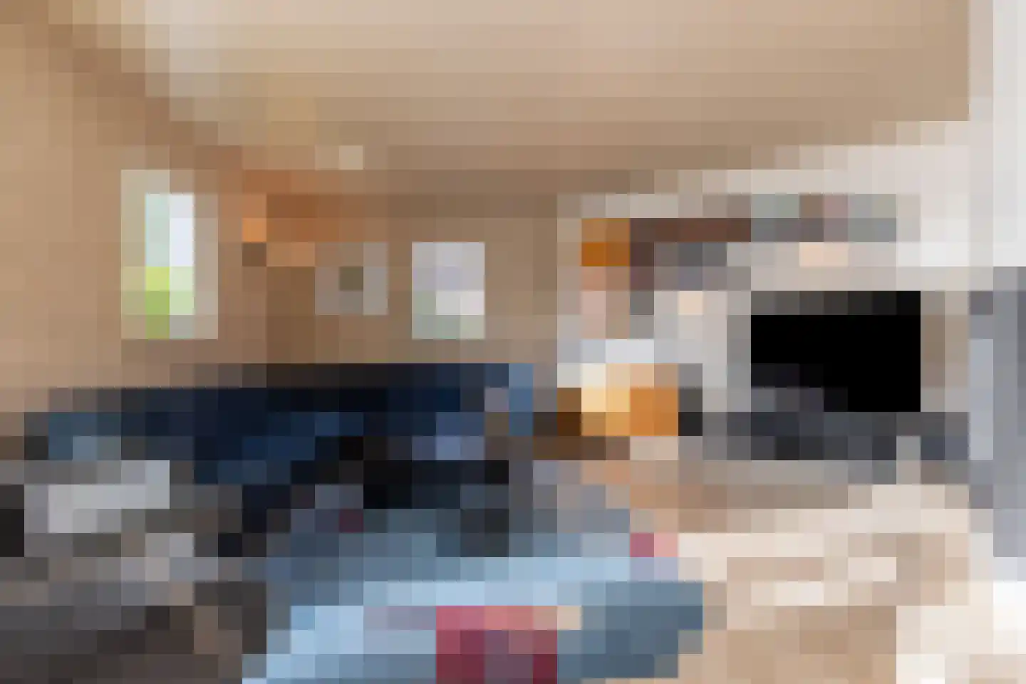de Steege 67 Zieuwent thumbnail 7
