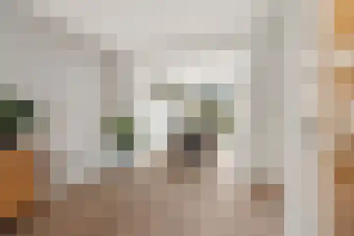 de Steekse Acker 1106 Nijmegen thumbnail 10