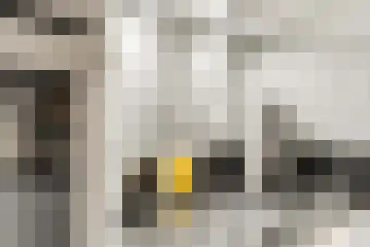 de Steekse Acker 1106 Nijmegen thumbnail 18
