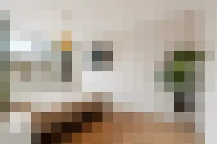 de Steekse Acker 1106 Nijmegen thumbnail 23