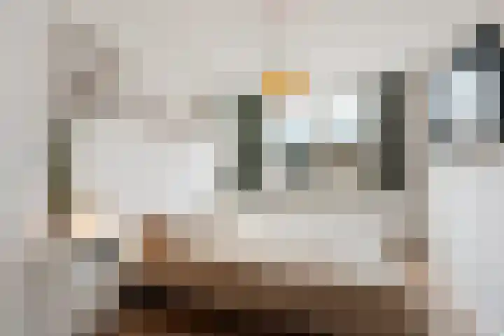 de Steekse Acker 1106 Nijmegen thumbnail 24