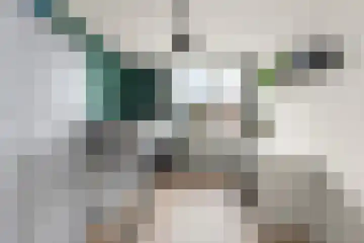 de Steekse Acker 1106 Nijmegen thumbnail 28