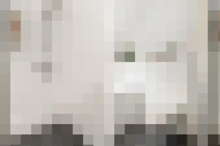 de Steekse Acker 1106 Nijmegen thumbnail 34