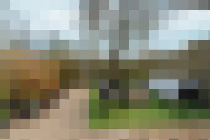 de Steekse Acker 1106 Nijmegen thumbnail 43