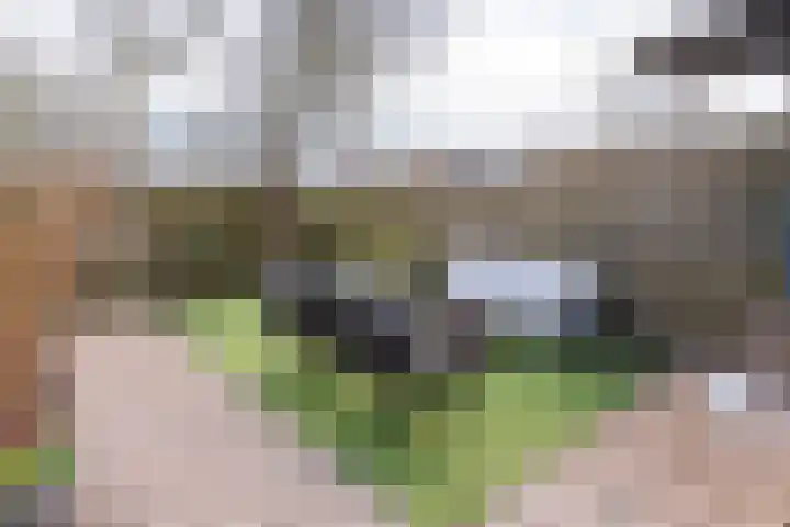 de Steekse Acker 1106 Nijmegen thumbnail 44