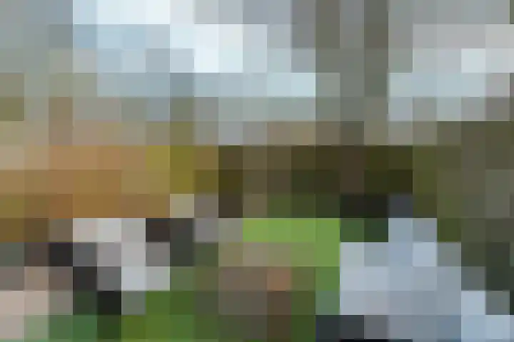 de Steekse Acker 1106 Nijmegen thumbnail 45
