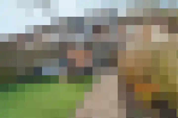 de Steekse Acker 1106 Nijmegen thumbnail 46