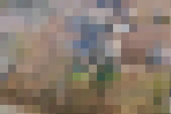de Steekse Acker 1106 Nijmegen thumbnail 55