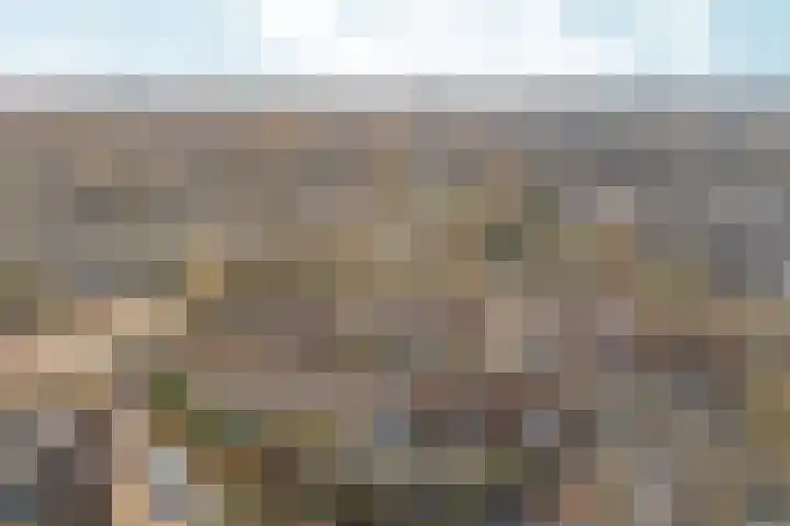 de Steekse Acker 1106 Nijmegen thumbnail 56