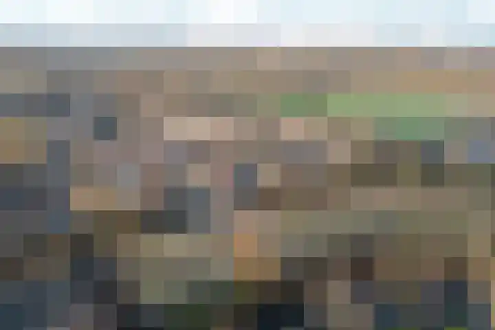 de Steekse Acker 1106 Nijmegen thumbnail 57
