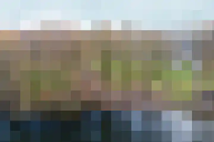 de Steekse Acker 1106 Nijmegen thumbnail 60