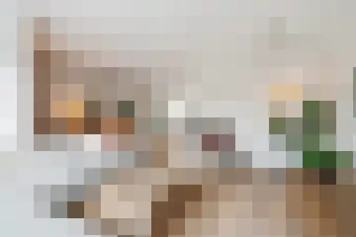 de Steekse Acker 1106 Nijmegen thumbnail 7