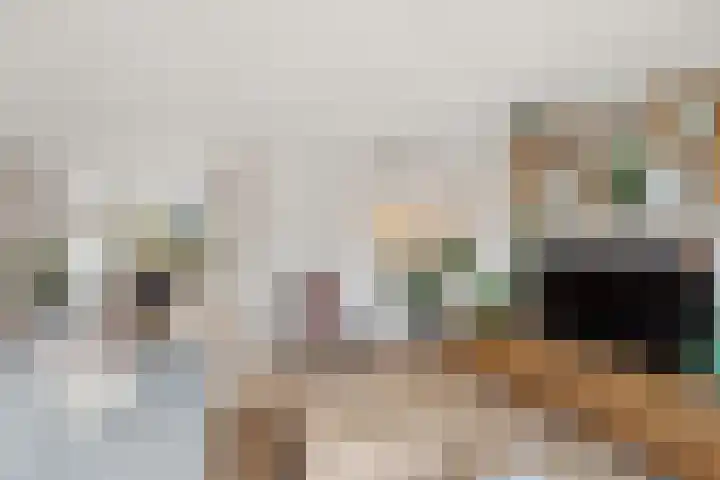 de Steekse Acker 1106 Nijmegen thumbnail 8