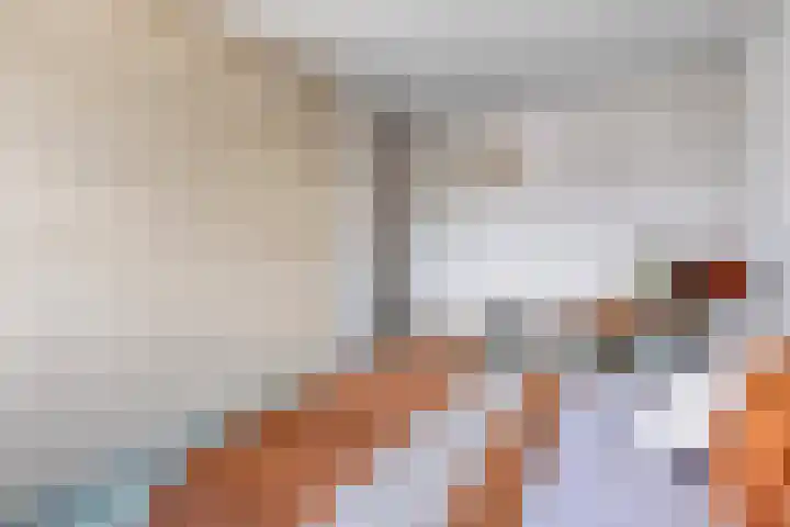 de Steekse Acker 1111 Nijmegen thumbnail 13