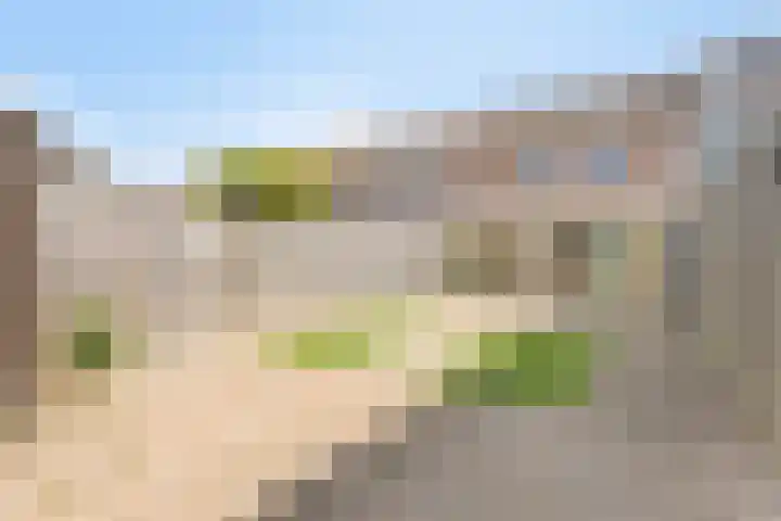 de Steekse Acker 1111 Nijmegen thumbnail 21