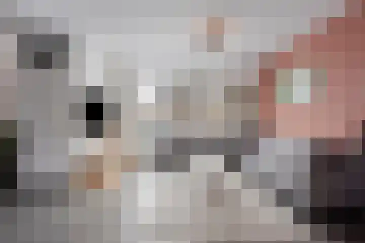 de Steekse Acker 1150 Nijmegen thumbnail 11