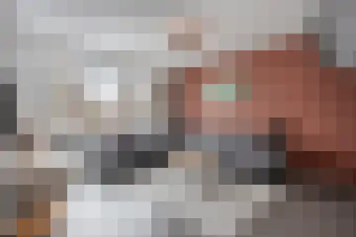 de Steekse Acker 1150 Nijmegen thumbnail 12