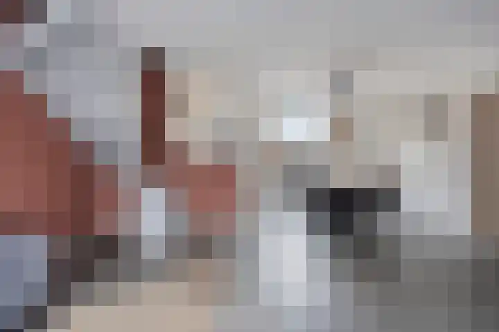 de Steekse Acker 1150 Nijmegen thumbnail 14