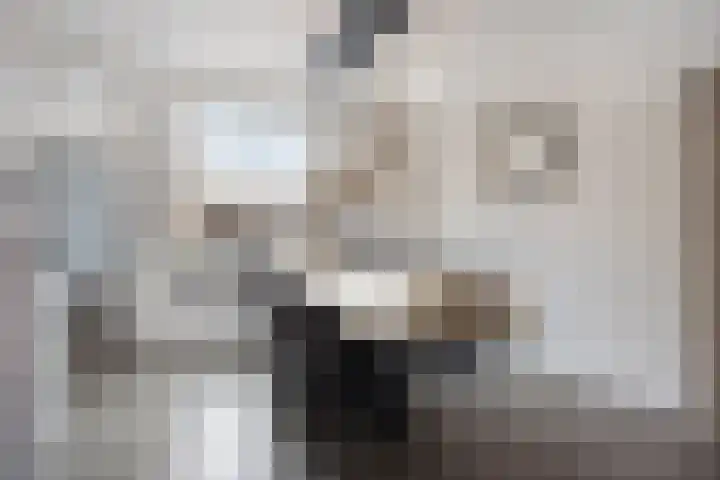 de Steekse Acker 1150 Nijmegen thumbnail 15