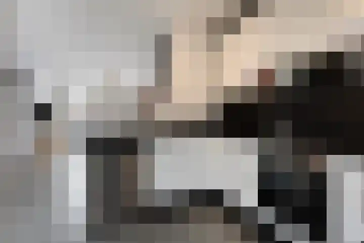 de Steekse Acker 1150 Nijmegen thumbnail 21