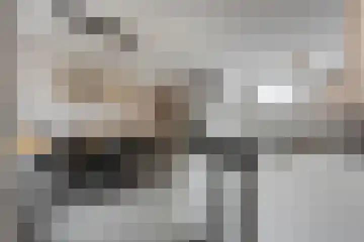 de Steekse Acker 1150 Nijmegen thumbnail 22