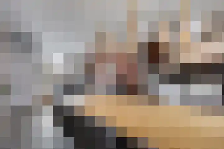 de Steekse Acker 1150 Nijmegen thumbnail 23