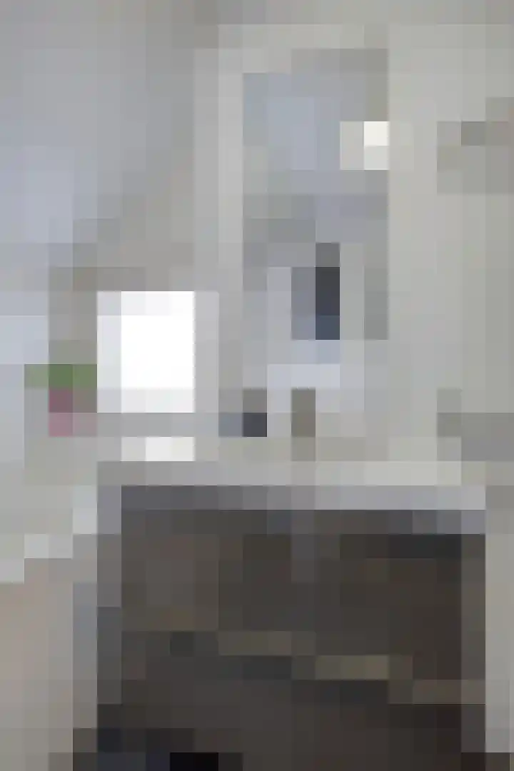 de Steekse Acker 1150 Nijmegen thumbnail 34