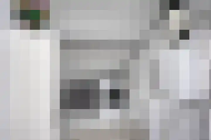 de Steekse Acker 1150 Nijmegen thumbnail 35