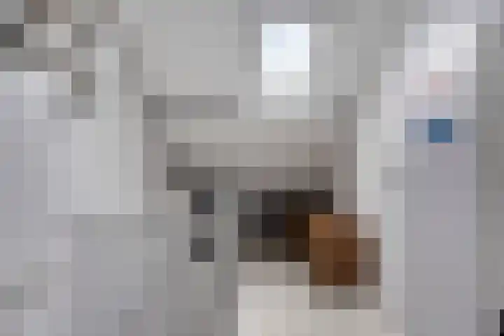de Steekse Acker 1150 Nijmegen thumbnail 36