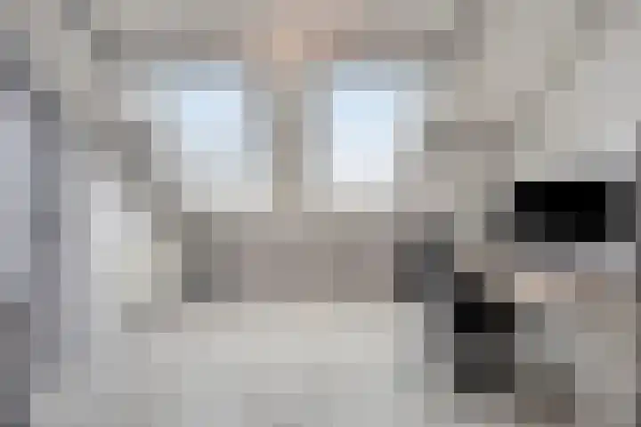 de Steekse Acker 1150 Nijmegen thumbnail 38