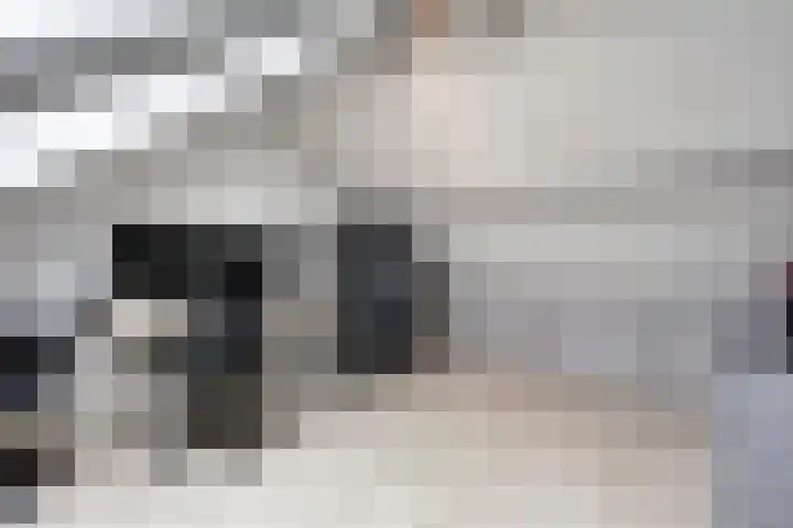 de Steekse Acker 1150 Nijmegen thumbnail 39