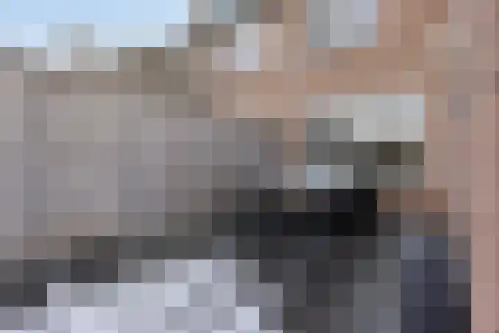 de Steekse Acker 1150 Nijmegen thumbnail 40