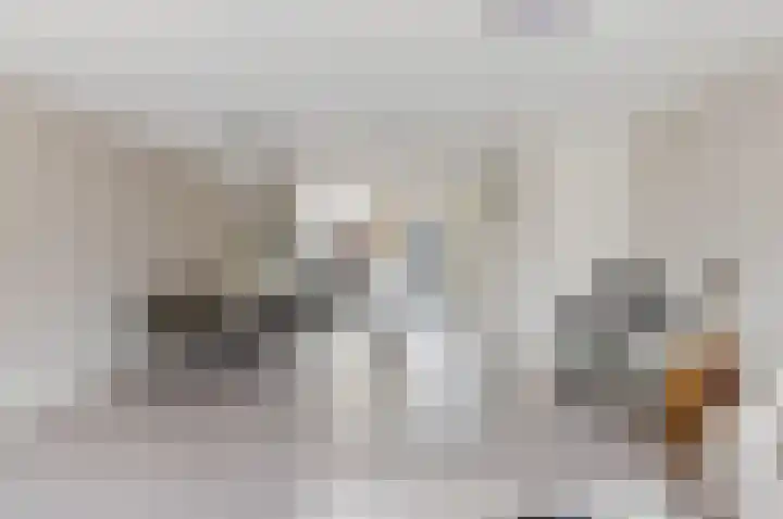 De Steen 11 Houten thumbnail 16