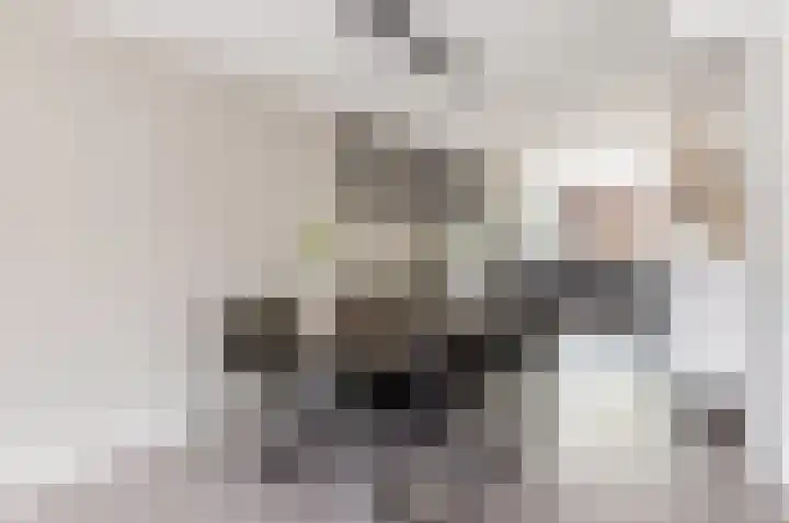 De Steen 11 Houten thumbnail 17