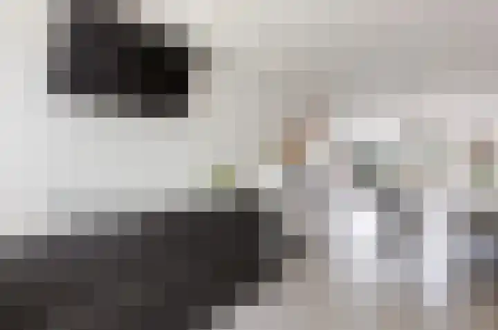 De Steen 11 Houten thumbnail 21