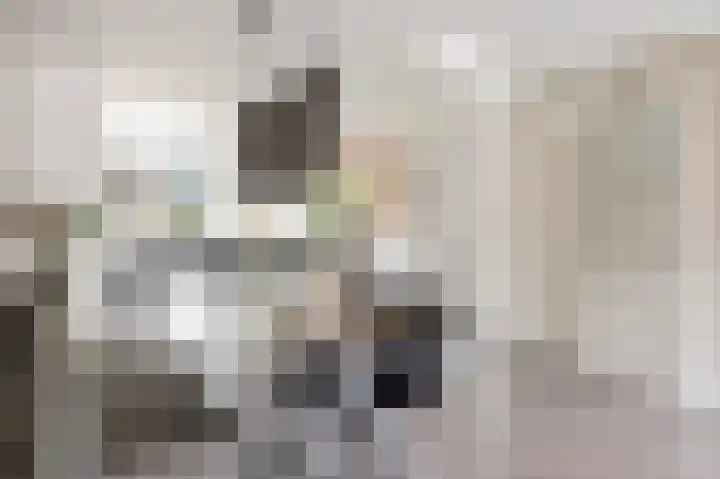De Steen 11 Houten thumbnail 24