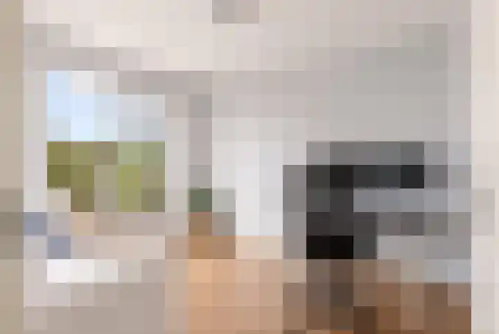 De Steen 11 Houten thumbnail 30