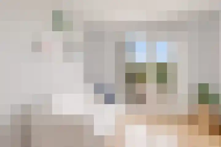 De Steen 11 Houten thumbnail 31