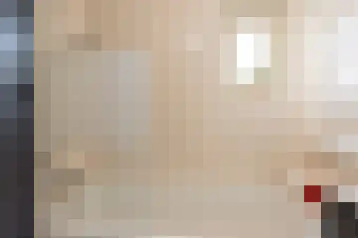 De Steen 11 Houten thumbnail 34