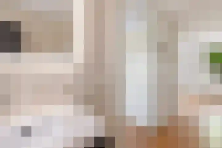 De Steen 11 Houten thumbnail 36